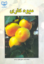 ميوه كاری