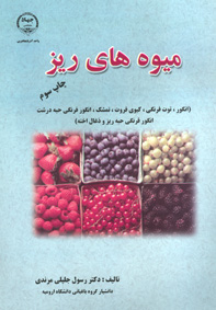 ميوه های ريز(انگور،توت فرنگي، كيوی فروت و تمشك)