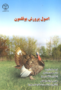 اصول پرورش بوقلمون