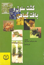 اقتصاد منابع طبيعي