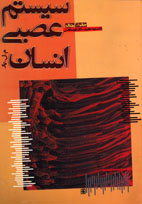 سيستم عصبي انسان