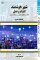 شهر هوشمند، اقدام و عمل: «ایجاد ارزش اقتصادی و عمومی در سیستم‌های نوین شهری»