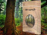 کتاب بازار و مدیریت چوب وارد بازار نشر شد