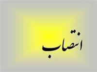 با حکم معاون امور فرهنگی؛ معاون فرهنگی و اجرایی نمایشگاه بین‌المللی کتاب تهران منصوب شد.