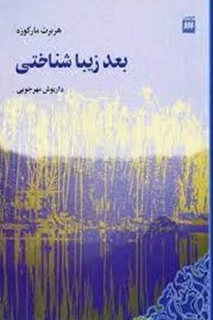 بعد زیبا شناختی