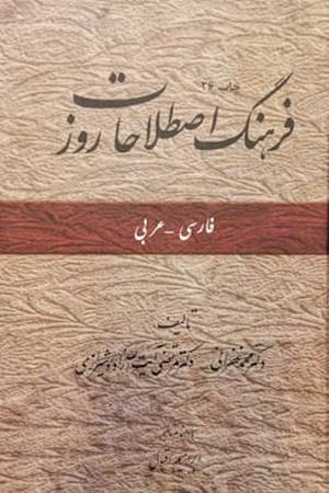 فرهنگ اصطلاحات روز