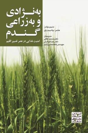 به‌نژادی و به‌زراعی گندم