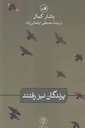 پرندگان نیز رفتند