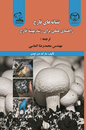 نشانه‌های قارچ