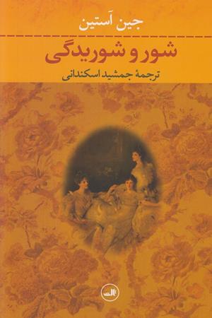 شور و شوریدگی