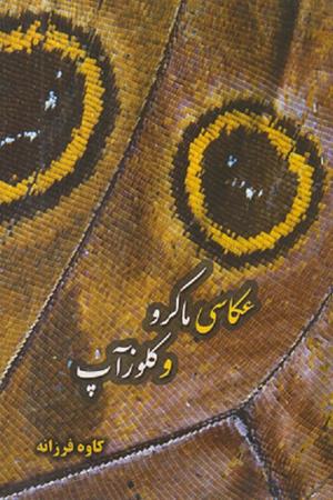 عکاسی ماکرو و کلوزآپ