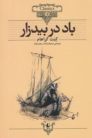 باد در بیدزار