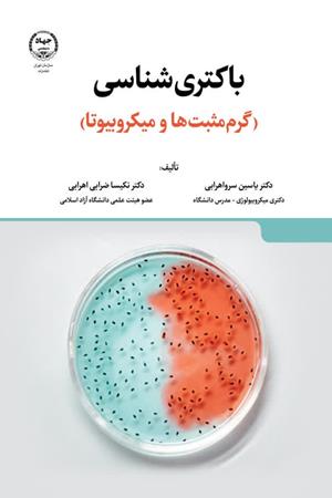  باکتری‌شناسی گرم مثبت‌ها و میکروبیوتا