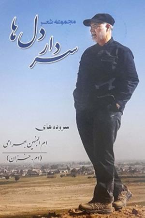 مجموعه شعر سردار دلها