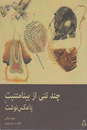 چند تنی از بینامتنیت یا پا عکس نوشت