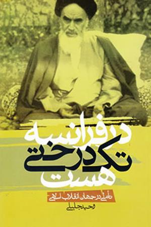 در فرانسه تک درختی هست