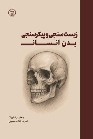 زیست سنجی و پیکرسنجی بدن انسان 