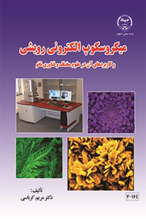 میکروسکوپ الکترونی روبشی و کاربردهای آن در علوم مختلف و فناوری نانو