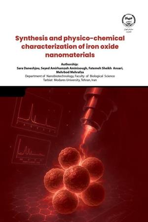     synthesis and Physico-chemical characterization of Iron Oxid nanomaterials 
