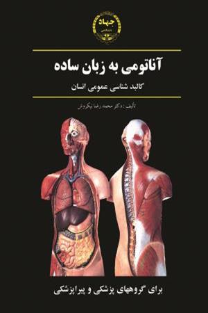 آناتومی به زبان ساده
