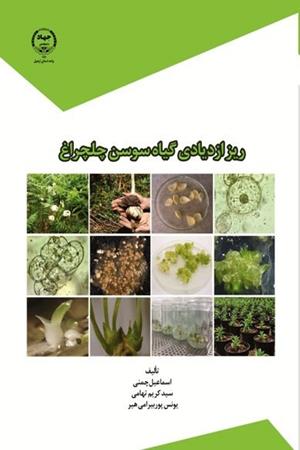 ریزازدیادی گیاه سوسن چلچراغ 