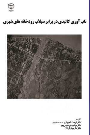 تاب آوری کالبدی در برابر سیلاب رودخانه های شهری 